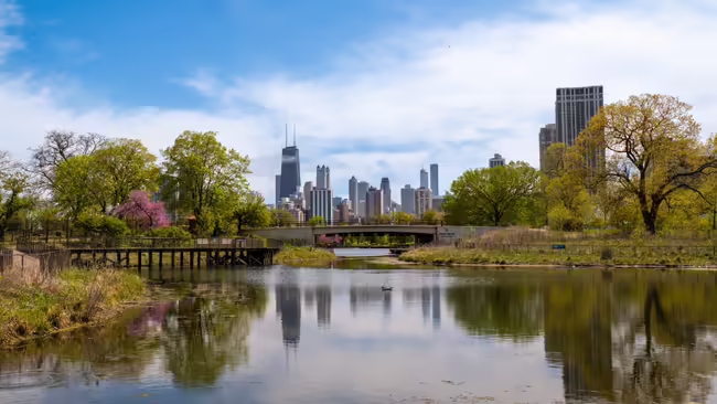 The skyline of Chicago reflected in the lake, surrounded by nature 