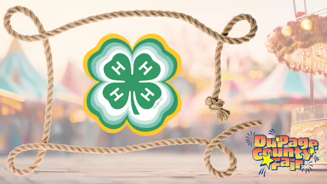 faded fair scene in background with lasso around 4-H logo