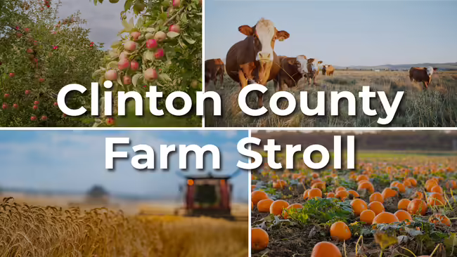 clinton county farm stroll