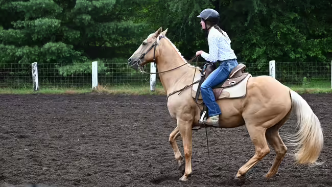 girl on a horse