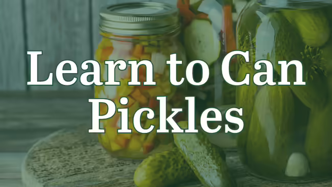 Learn to Can Pickles. Background image has different types of pickled vegetables.