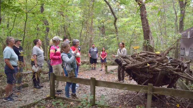 group of people looking at eagle's nest