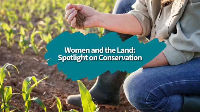 woman holding soil in a corn field, Women and the Land: Spotlight on Conservation