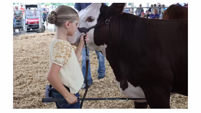 Girl Selling her Cow at the Auction