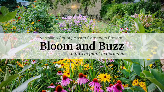 blooming native plant garden 