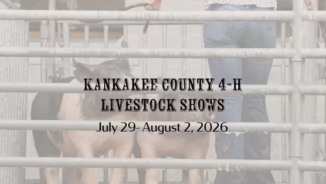 Kankakee County 4-H Livestock Shows July 29 - August 2, 2026