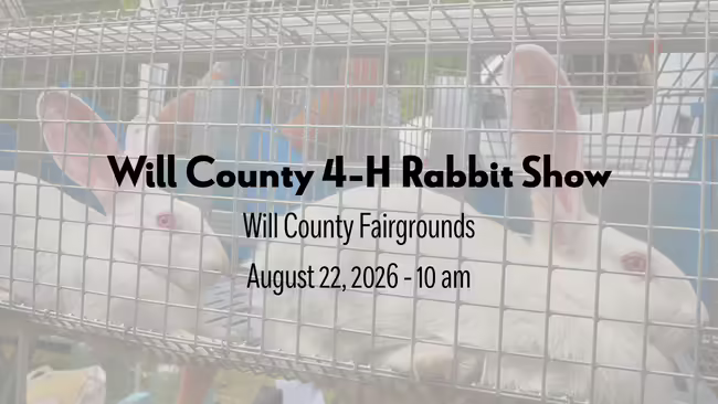 Will County 4-H Rabbit Show Will County Fairgrounds August 22, 2026 - 10AM