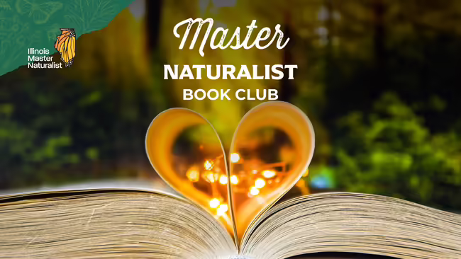 Open book in front of green wooded background. Two pages are shaped in a heart with soft lights in the middle.