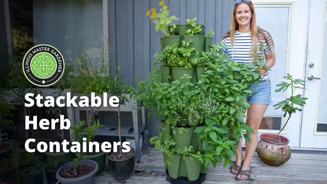 Woman in white and black striped t-shirt and blue jean shorts standing next to a tall green collection of herbs.