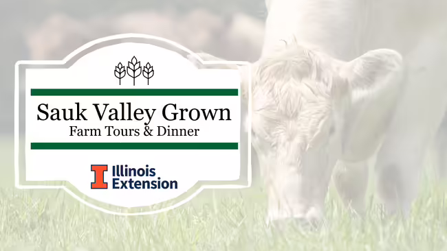 Cattle grazing in a field with "Sauk Valley Grown" text overlay