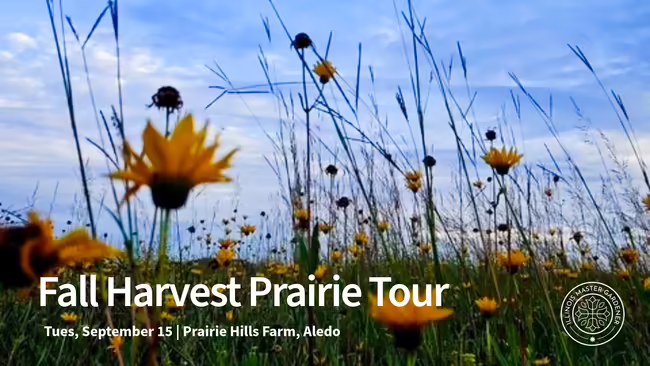 prairie flowers