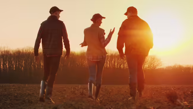 Three people talking and walking through a field.
