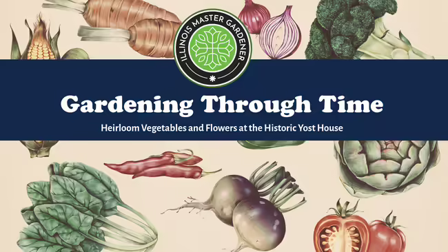 A background of drawn vegetables with a vintage coloring scheme present the title of the program: "Gardening Through Time"