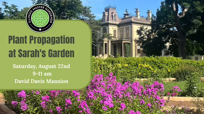 The David Davis Mansion sits beyond a bed of pink flowers inside the historic Sarah's Garden