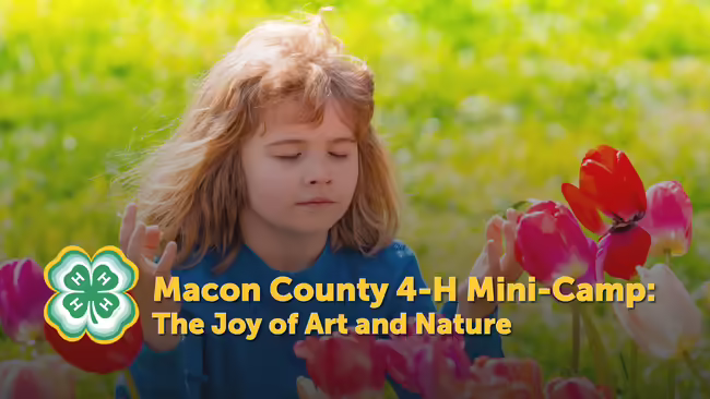 Girl in field of tulips