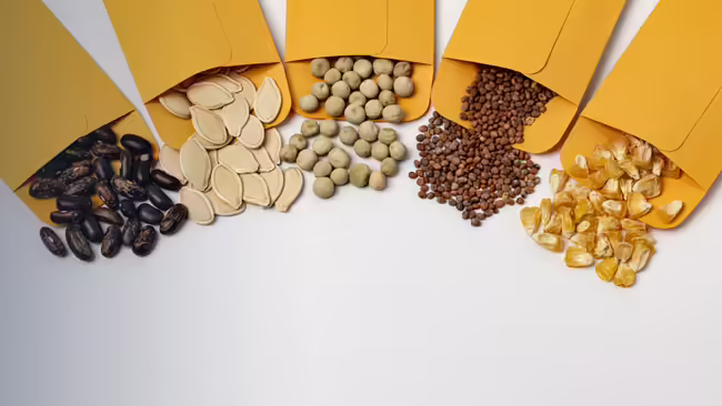 seed packets