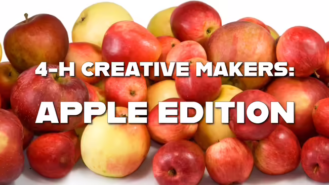 apples