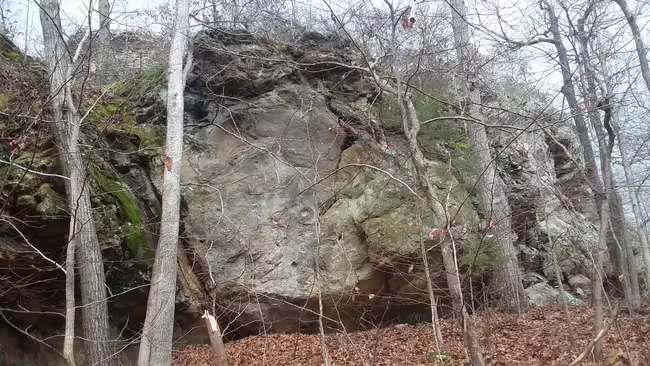 Rocky bluff and trees