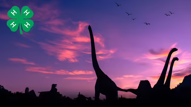 Silhouette of several dinosaurs with a sunset background