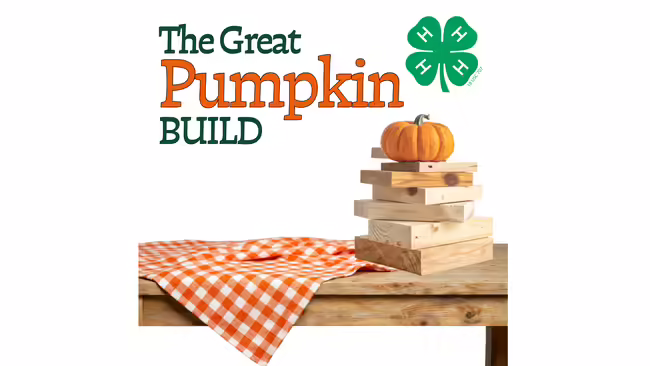 pumpkin sitting on table
