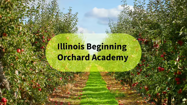 apple orchard