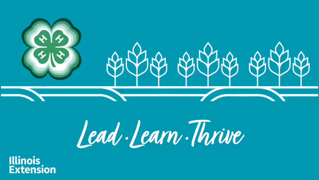 Lead Learn Thrive 