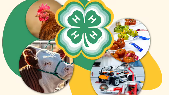 cow, chicken fruit, robot and 4-H symbol