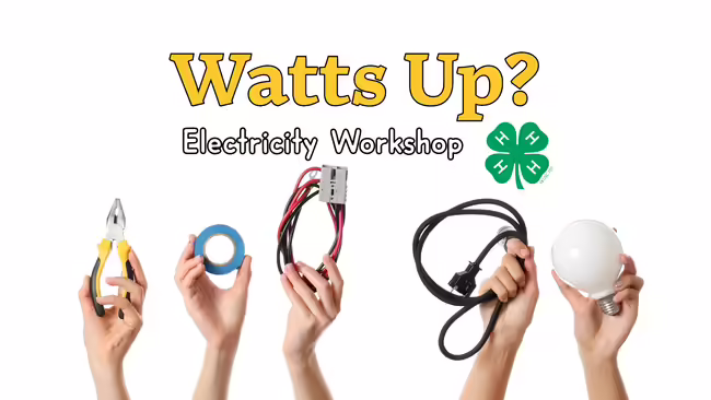 examples of electricity wires