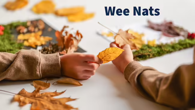 Children doing crafts with leaves, sticks and grass from nature