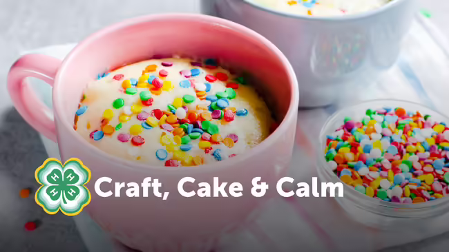 Cake in a pink mug with sprinkles