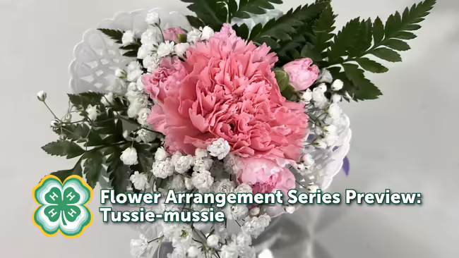 pink flowers