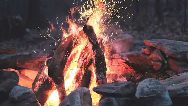 fire with wood and sparks