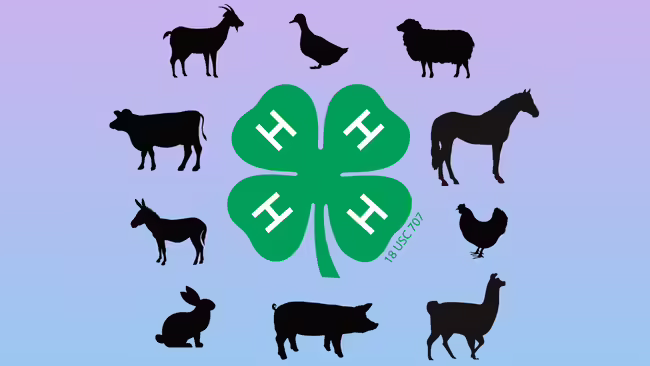 A green four-leaf 4-H clover logo surrounded by black silhouettes of farm animals arranged in a circle against a pastel gradient background.