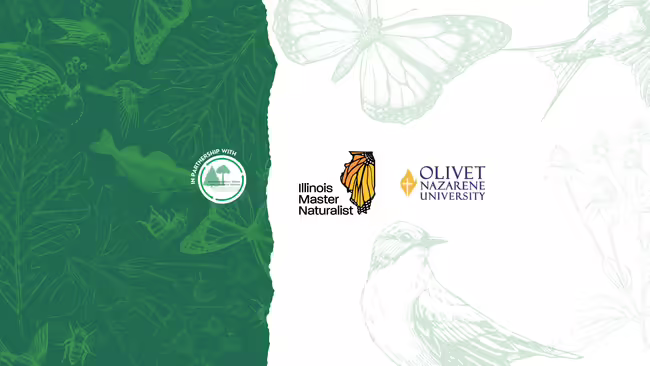 Three logos, the Kankakee River Valley Forest Preserve District, Illinois Master Naturalist, and Olivet University