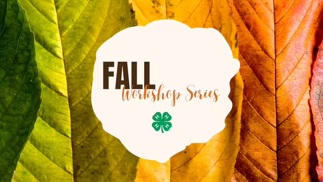 Fall Workshop Series