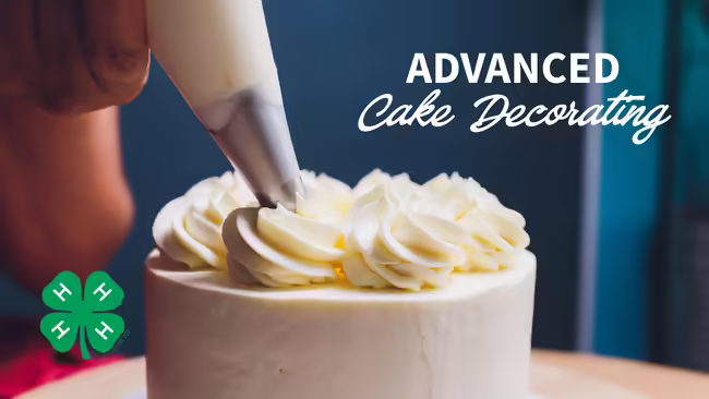 Person decorating an iced cake. 4-H clover and title "Advanced Cake Decorating"