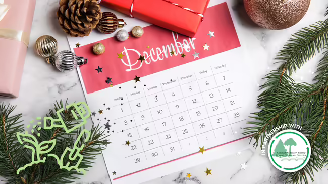A December Calendar