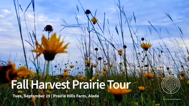 priarie plants Fall Harvest Prairie Tour event