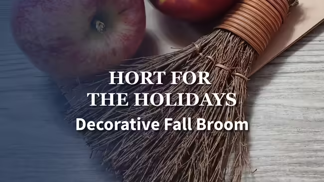 Broom and apple