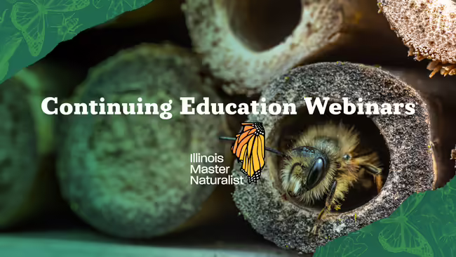 continuing education webinar