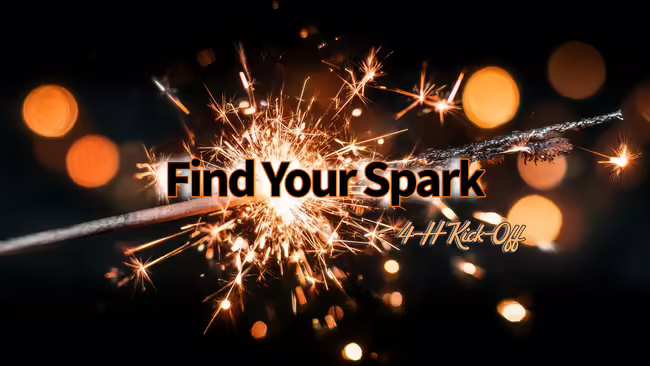 find your spark