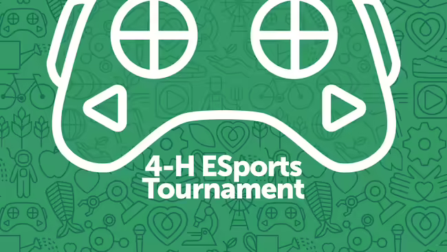 4-H ESports Tournament