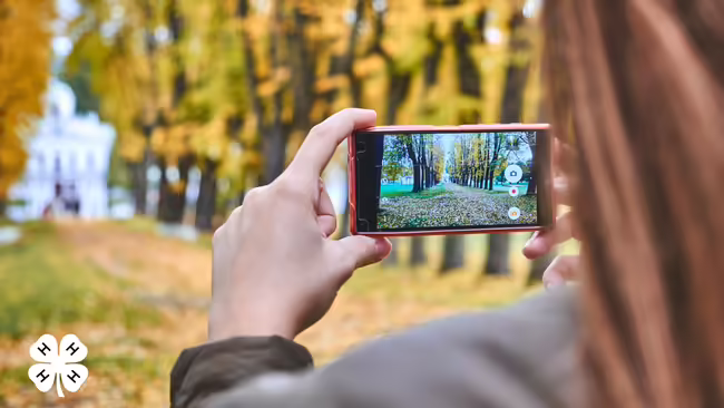 A person using a cell phone to take an image of a fall scenery. A white 4-H clover is on the bottom left.