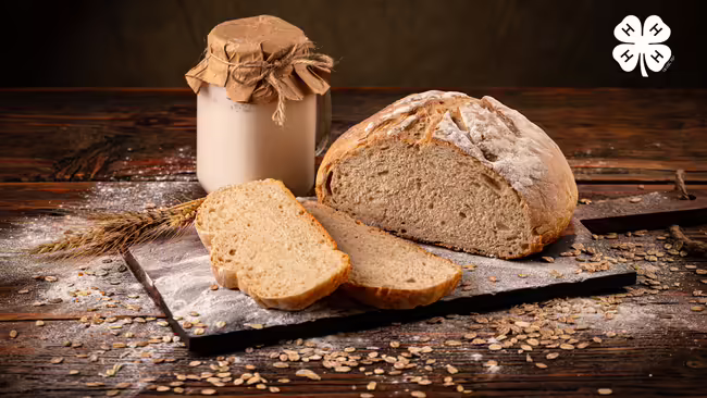 A loaf of sourdough bread with two slices cut, next to a jar of starter and a 4-H logo in the top right corner.