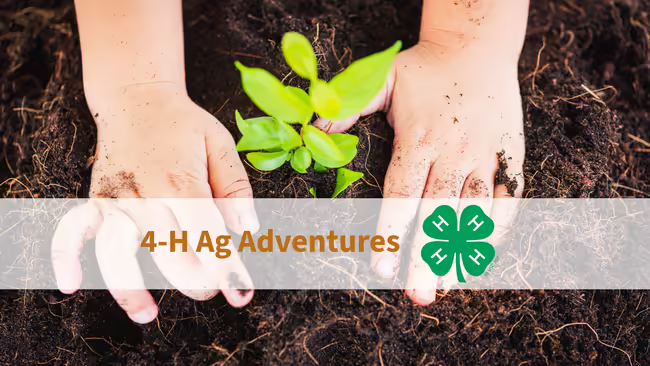 4-H Ag Adventures on opaque white banner with clover, and hands putting plant in the ground
