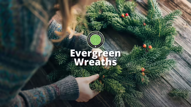 Evergreen Wreaths white font layered over a picture of hands touching a wreath of evergreen