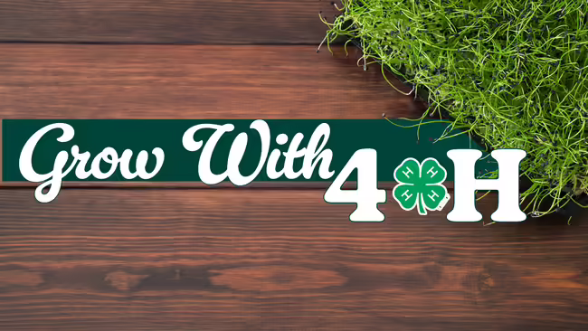 grow with 4-H