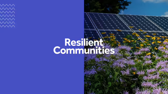 Resilient Communities and field with solar panels and flowers