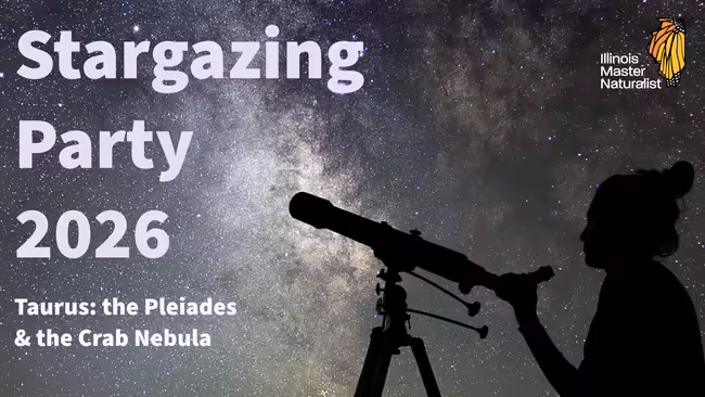 A shaded image of a person looking through a telescope with a starry sky background.