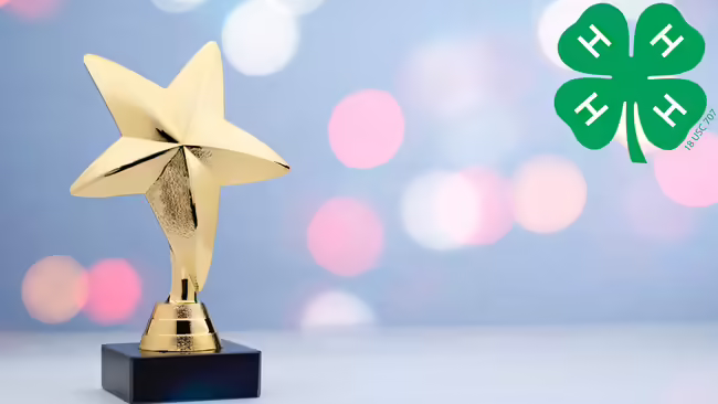 Trophy with a lit background and a four leaf clover